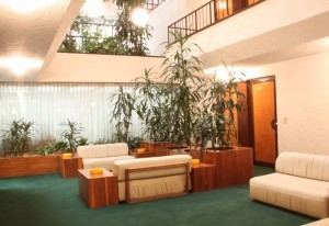 Hall para visitas (1)           